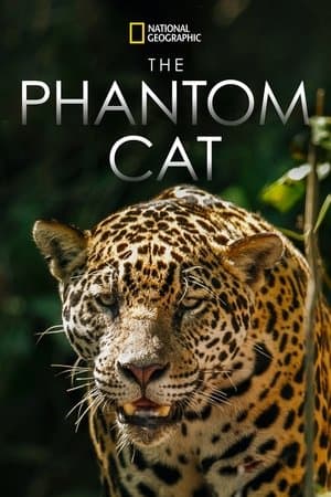 The Phantom Cat streaming