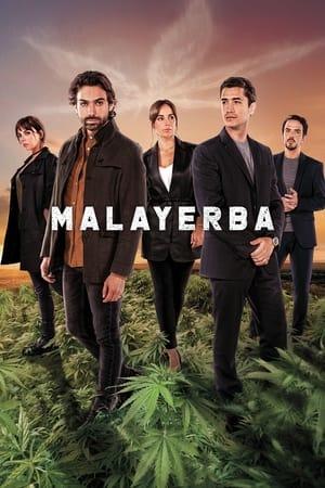MalaYerba streaming