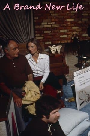 A Brand New Life streaming