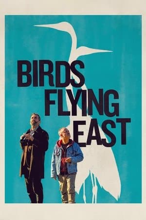 Birds Flying East streaming