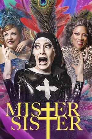 Mister Sister streaming