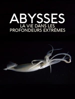Extreme der Tiefsee - Abysses streaming