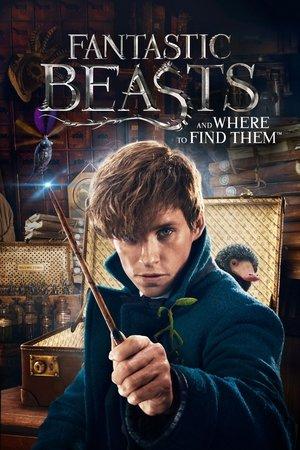 Fantastic Beasts and Where to Find Them streaming
