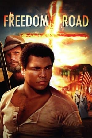 Les Routes de la Liberté streaming