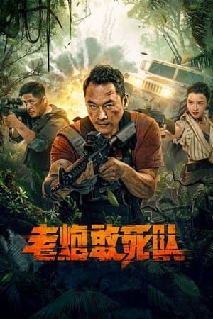 老炮敢死队 streaming