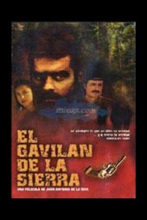 El gavilán de la sierra streaming