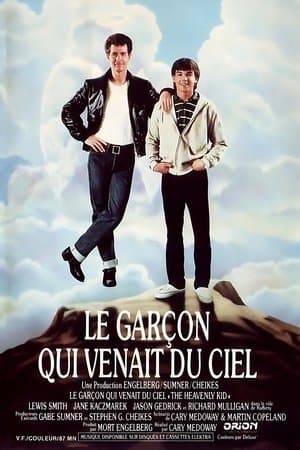 Le Garçon qui venait du ciel streaming