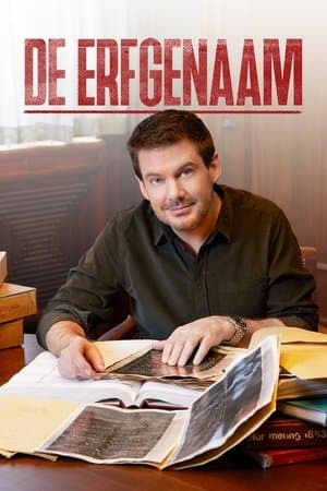 De Erfgenaam streaming