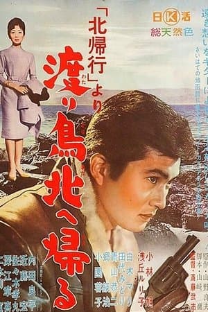 北帰行より　渡り鳥北へ帰る streaming
