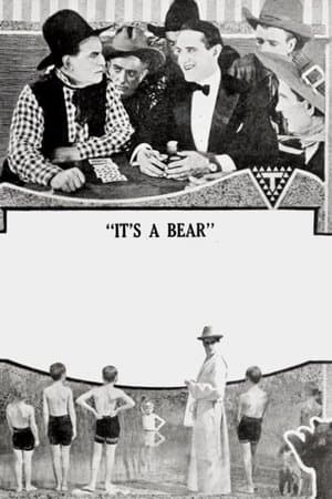 It's a Bear streaming