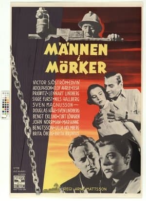 Männen i mörker streaming