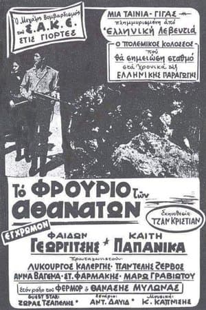Operation Kraipe streaming