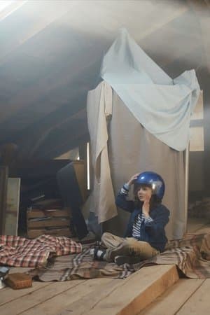 Leoniden streaming