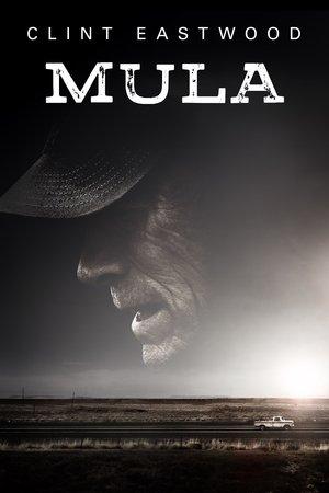 Mula streaming