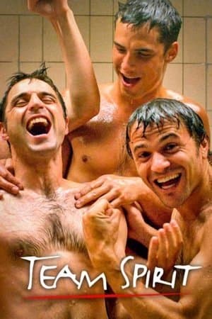Team Spirit: De serie streaming