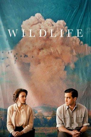 Wildlife streaming
