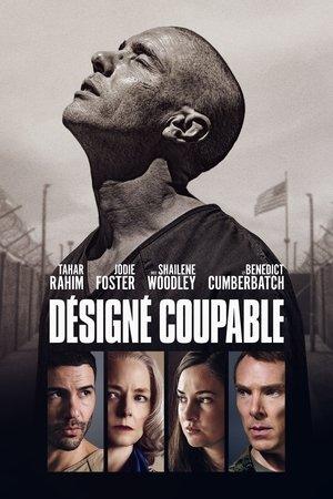 Désigné coupable streaming