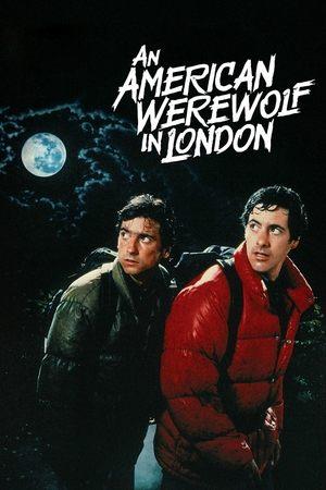 An American Werewolf in London streaming