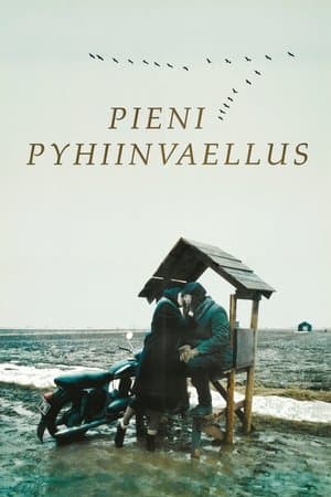 Pieni pyhiinvaellus streaming