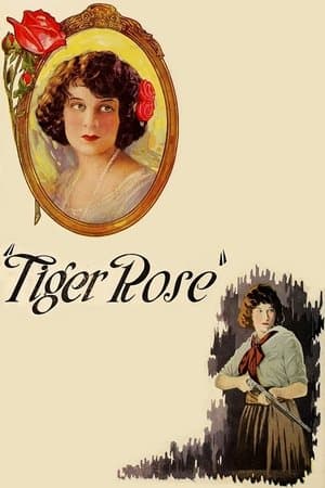 Tiger Rose streaming