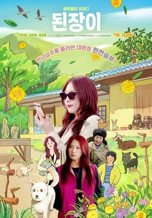 된장이 streaming