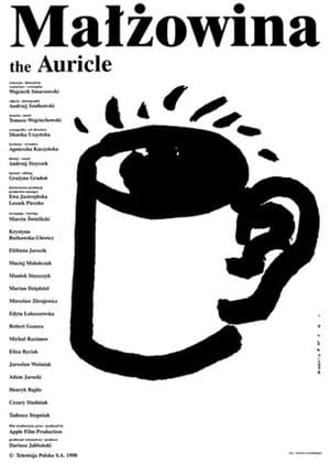 The Auricle streaming