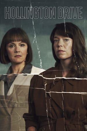 Hollington Drive streaming