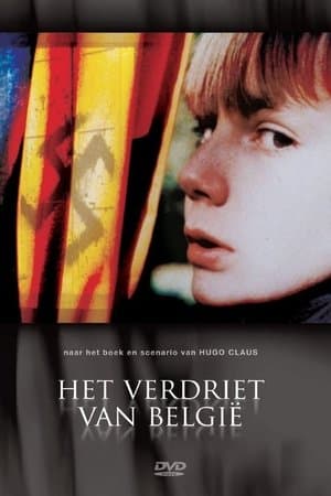 Het verdriet van België streaming