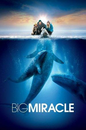 Big Miracle streaming