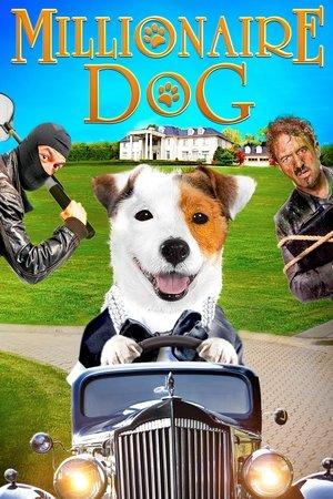 Millionaire Dog streaming