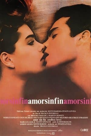 Amor sin fin streaming