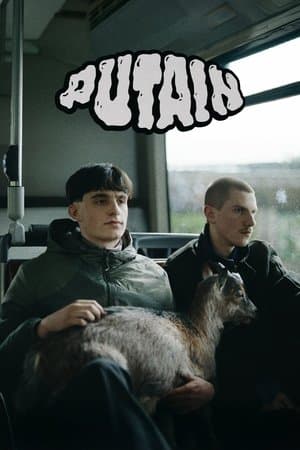 Putain streaming