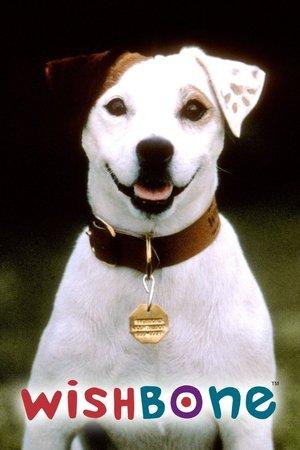 Wishbone streaming