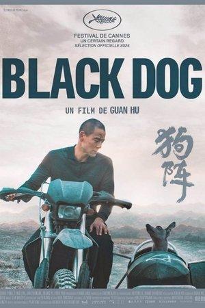 Black Dog streaming