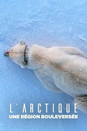 L'Arctique, une région bouleversée streaming