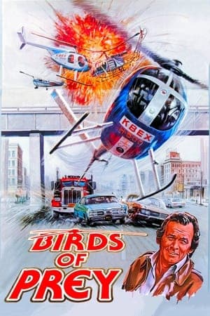 Birds of Prey streaming