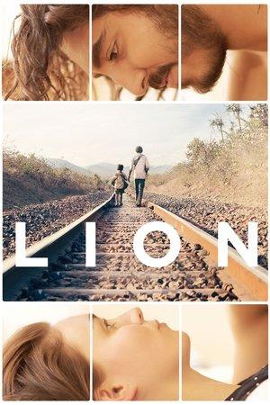 Lion streaming