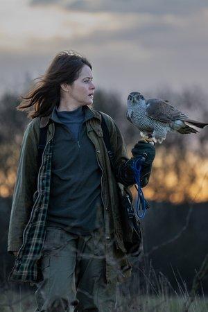 H Is for Hawk streaming