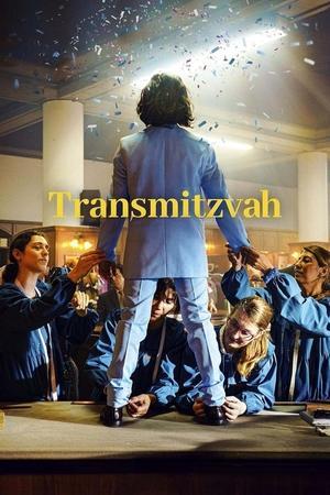 Transmitzvah streaming