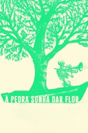 A Pedra Sonha Dar Flor streaming