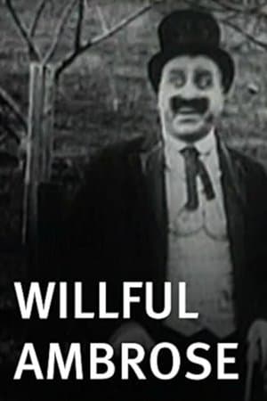 Willful Ambrose streaming