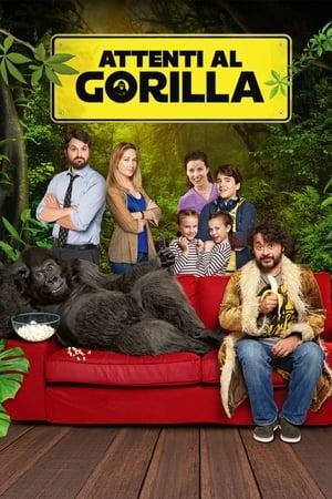 Attenti al gorilla streaming