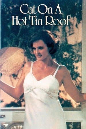 Cat on a Hot Tin Roof streaming