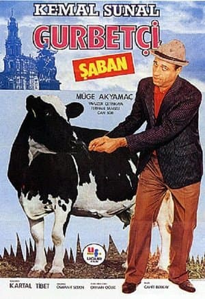 Gurbetçi Şaban streaming
