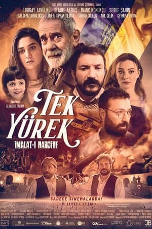 Full Unity: Imalat-i Harbiye streaming