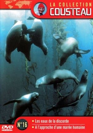 La collection Cousteau N°16 | Îles du Détroit: les eaux de la discorde | A L'approche d'une marée humaine streaming