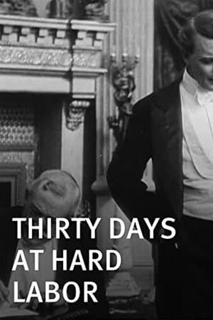 Thirty Days at Hard Labor streaming
