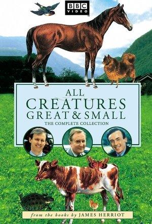 All Creatures Great and Small streaming