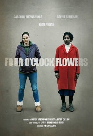 Four O'Clock Flowers streaming