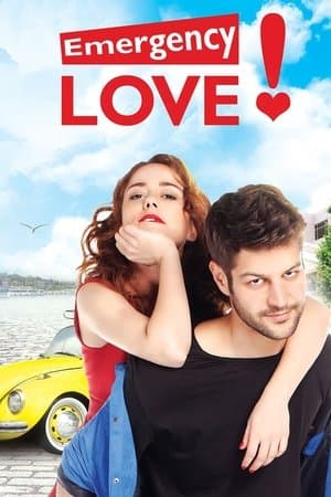 Emergency Love streaming